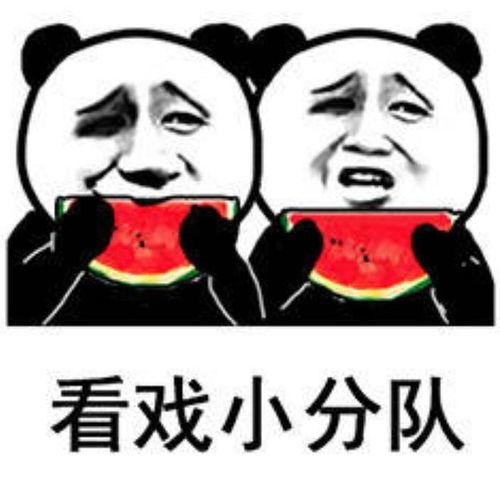 吃瓜表情高情商回复句子,轻松应对社交场合