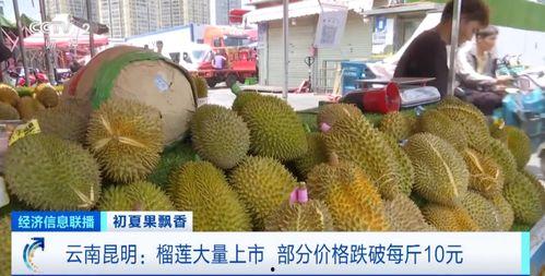 吃瓜娱乐间榴莲,热带果王背后的传奇与争议